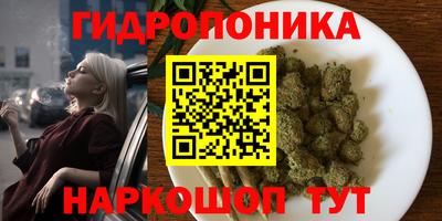 spice Кинель