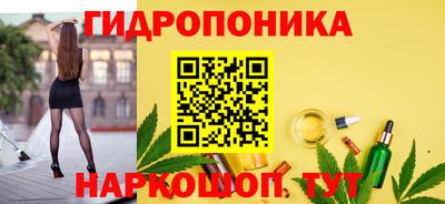 spice Кинель