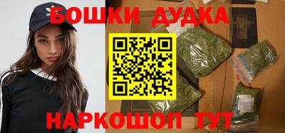 spice Кинель