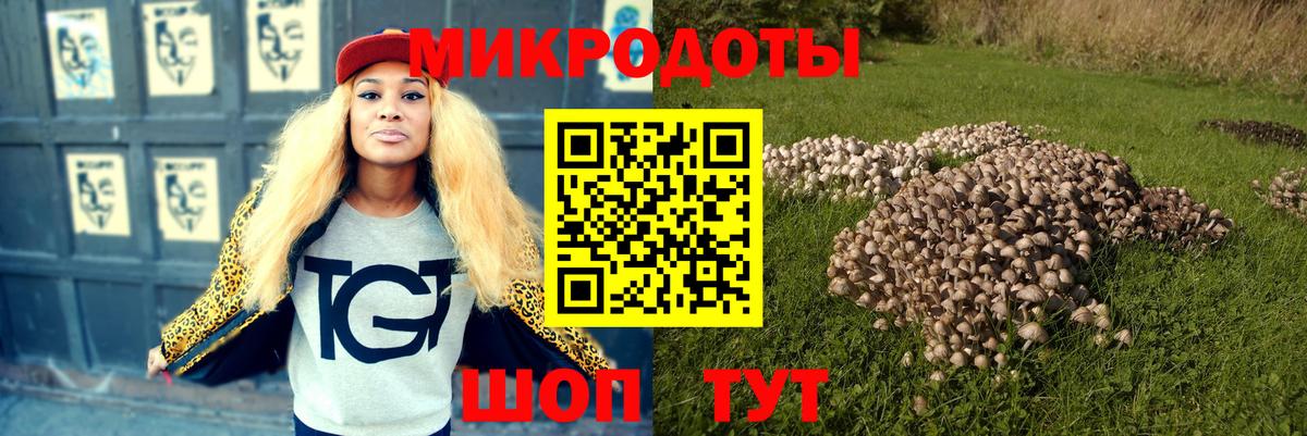Псилоцибиновые грибы GOLDEN TEACHER  Вход с VPN  Королёв  Псилоцибиновые грибы ЛСД 