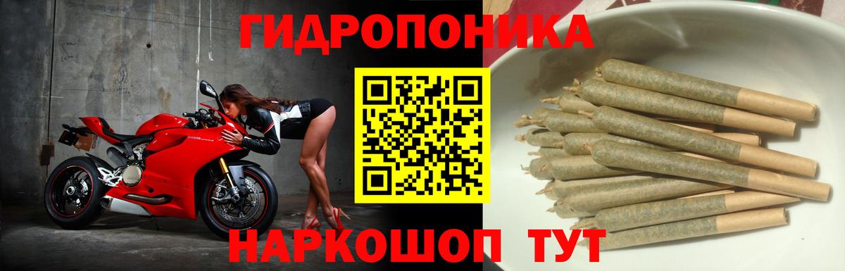 Канабис планчик Королёв